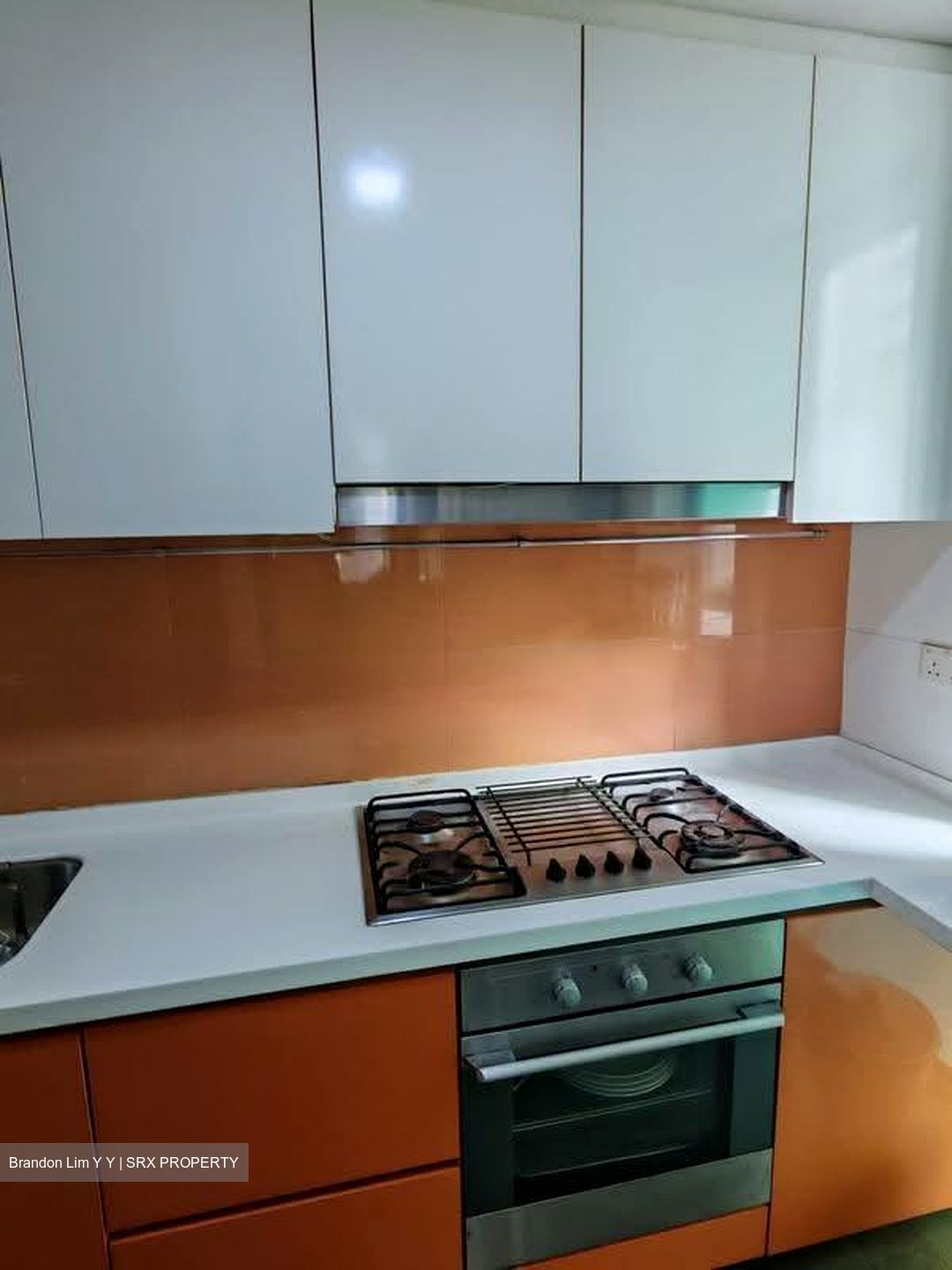 Double Bay Residences (D18), Condominium #618246791